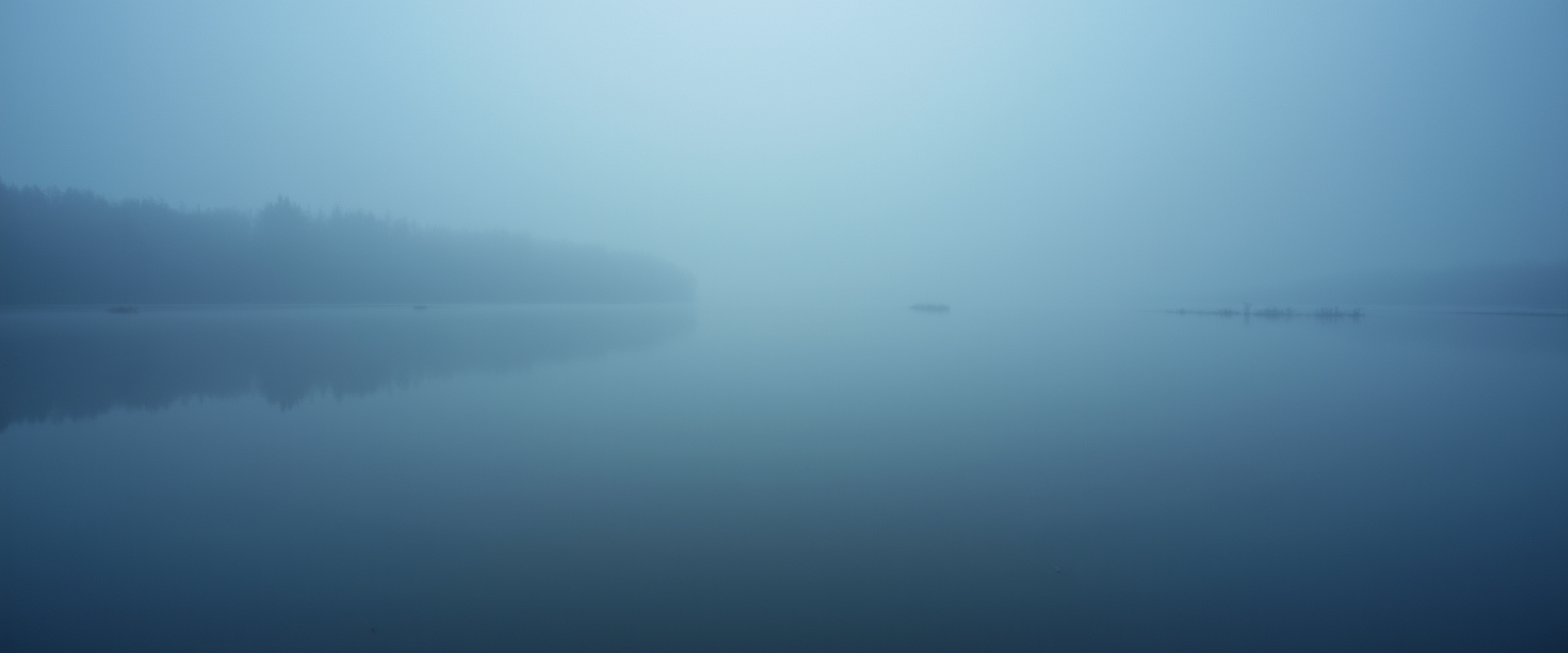 generated fog field